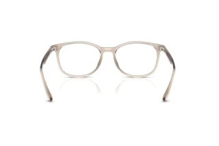 Bagside Ray-Ban RX7093D (8271)