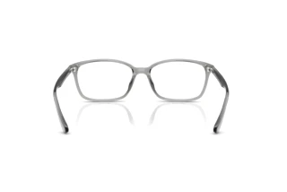 Bagside Ray-Ban RX7094D (8012)