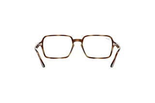 Bagside Ray-Ban RX7198 (2012)