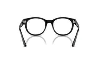 Bagside Ray-Ban RX7227 (2000)