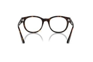 Bagside Ray-Ban RX7227 (2012)