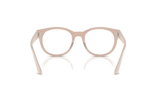 Bagside Ray-Ban RX7227 (8203)