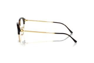 Sidevisning Ray-Ban RX7229 (2012)