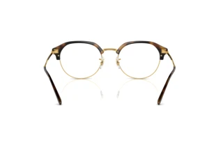 Bagside Ray-Ban RX7229 (2012)