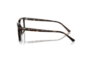 Sidevisning Ray-Ban ALAIN (RX7239 - 2012)