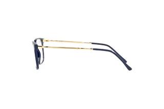 Sidevisning Ray-Ban RX7244 (8100)