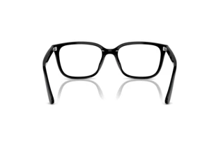 Bagside Ray-Ban RX7248D (2000)