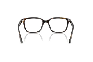 Bagside Ray-Ban RX7248D (2012)