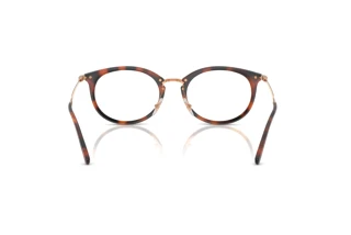 Bagside Ray-Ban RX7255 (5687)