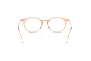 Bagside Ray-Ban RX7255 (8124)