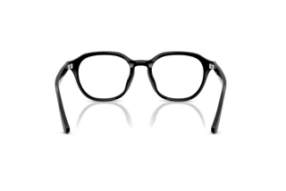 Bagside Ray-Ban RX7259D (2000)