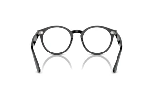 Bagside Ray-Ban LARRY (RX7680V - 2000)