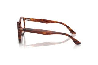 Sidevisning Ray-Ban LARRY (RX7680V - 2144)