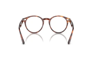 Bagside Ray-Ban LARRY (RX7680V - 2144)