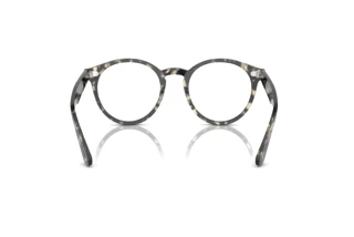 Bagside Ray-Ban LARRY (RX7680V - 8117)