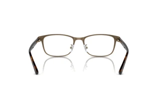 Bagside Ray-Ban RX8773D (1243)