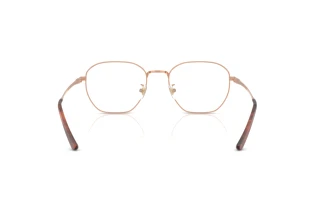 Bagside Ray-Ban RX8777D (1245)