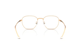 Bagside Ray-Ban RX8777D (1248)