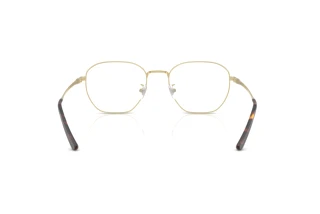 Bagside Ray-Ban RX8777D (1251)