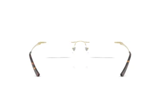 Bagside Ray-Ban RX8781D (1251)