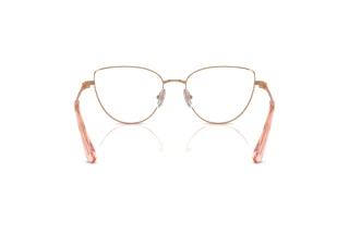 Bagside Swarovski SK1007 (4014)