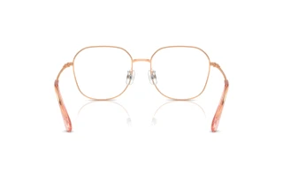 Bagside Swarovski SK1009D (4014)