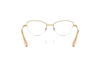 Bagside Swarovski SK1010 (4004)