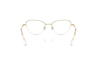 Bagside Swarovski SK1010 (4013)