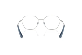 Bagside Swarovski SK1011 (4001)