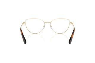 Bagside Swarovski SK1012 (4013)