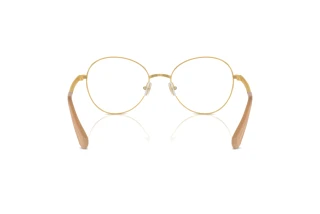 Bagside Swarovski SK1013 (4004)