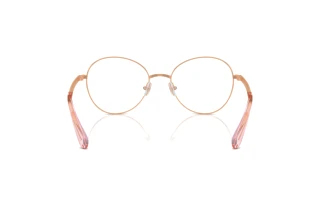 Bagside Swarovski SK1013 (4014)