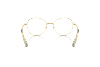 Bagside Swarovski SK1013 (4017)