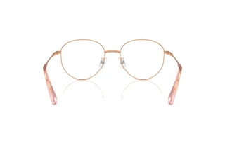 Bagside Swarovski SK1016D (4014)