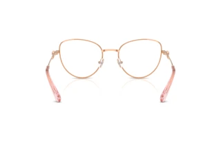 Bagside Swarovski SK1022 (4014)