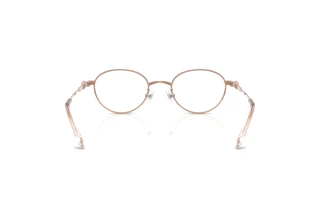 Bagside Swarovski SK1028TD (4014)