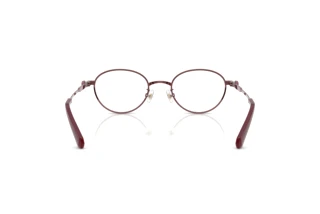 Bagside Swarovski SK1028TD (4040)