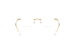 Bagside Swarovski SK1031 (4004)