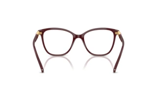 Bagside Swarovski SK2020 (1008)