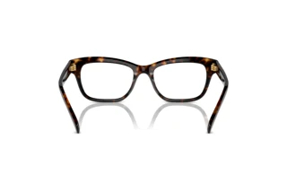 Bagside Swarovski SK2022 (1002)