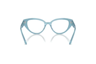 Bagside Swarovski SK2024 (2004)