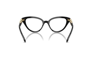 Bagside Swarovski SK2028 (1001)