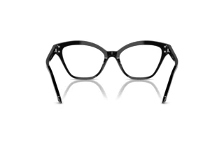 Bagside Swarovski SK2029 (1001)