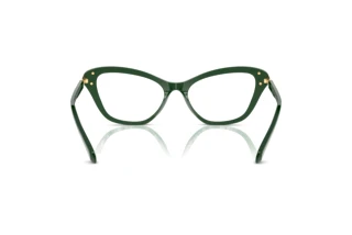 Bagside Swarovski SK2031 (1026)