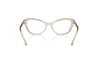 Bagside Swarovski SK2031 (3003)