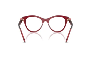 Bagside Swarovski SK2036 (1055)