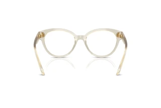 Bagside Swarovski SK2037 (3003)