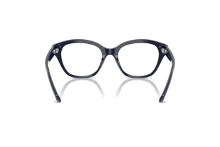 Bagside Swarovski SK2038 (1004)