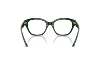 Bagside Swarovski SK2038 (1026)