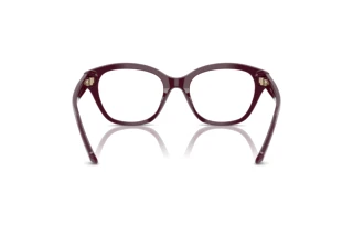 Bagside Swarovski SK2038 (1044)